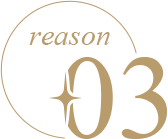 reason 03