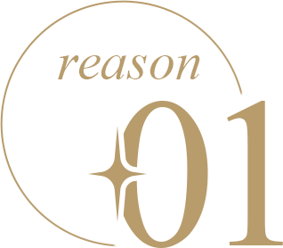 reason 01