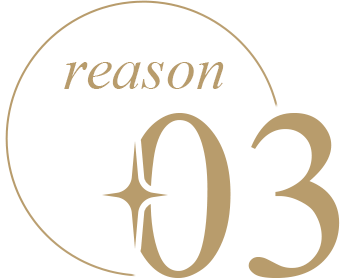 reason 03